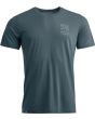 dark arctic grey