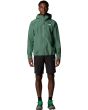 HCH duck green