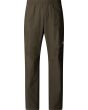 21L new taupe green
