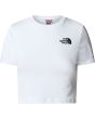 FN4 tnf white