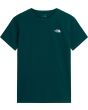 N4J pacific teal