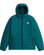 N4J pacific teal