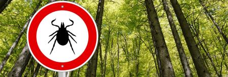 Protection contre les insectes et les tiques