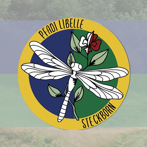 Pfadi Libelle Steckborn