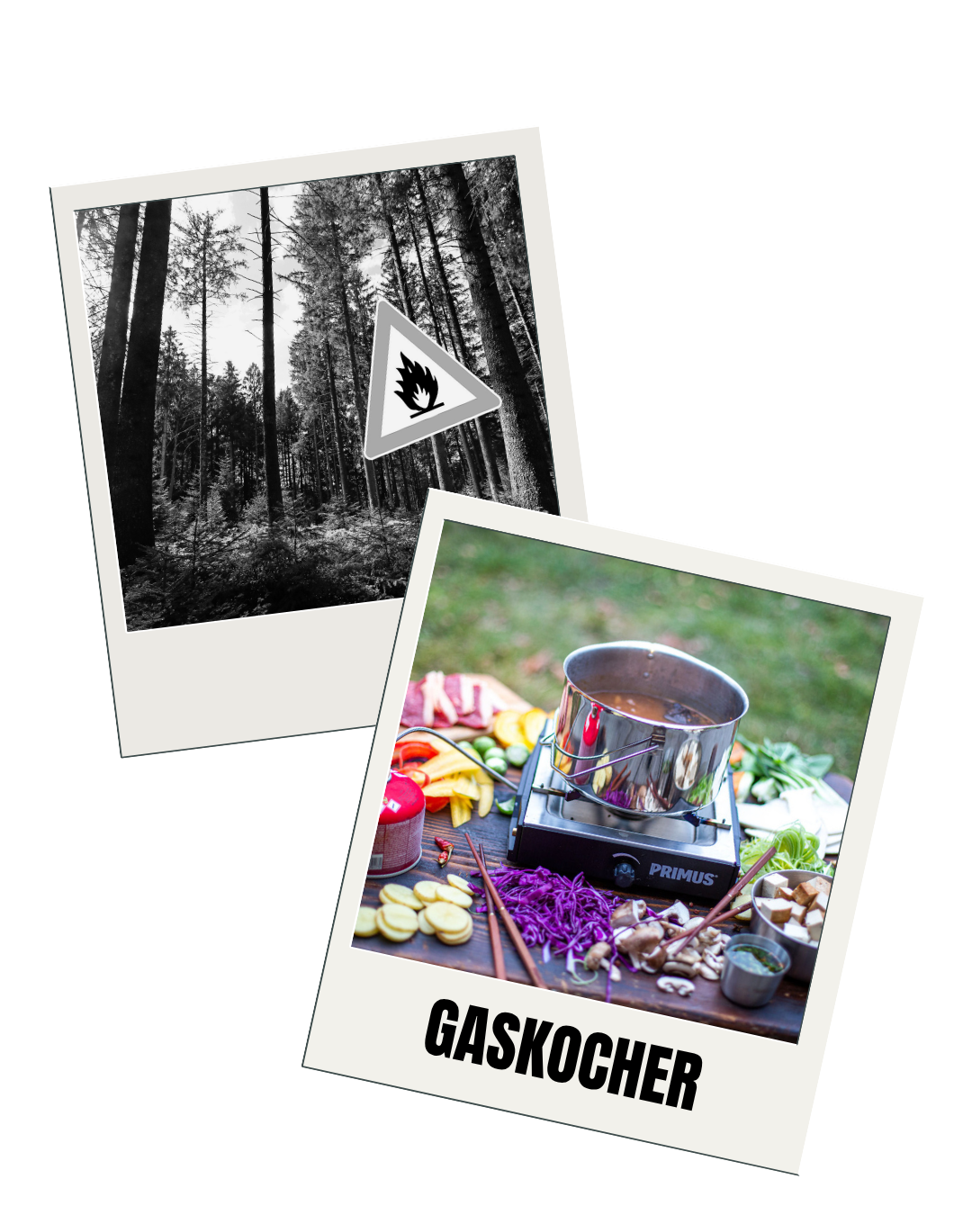 Zwei Polaroid-Fotos nebeneinander überlappend. Auf dem hinteren ist ein Wald und ein Feuerverbotsschild. Im Foto im Vordergrund ein Topf auf einem Primus-Kochfeld, umringt mit frischem Gemüse.