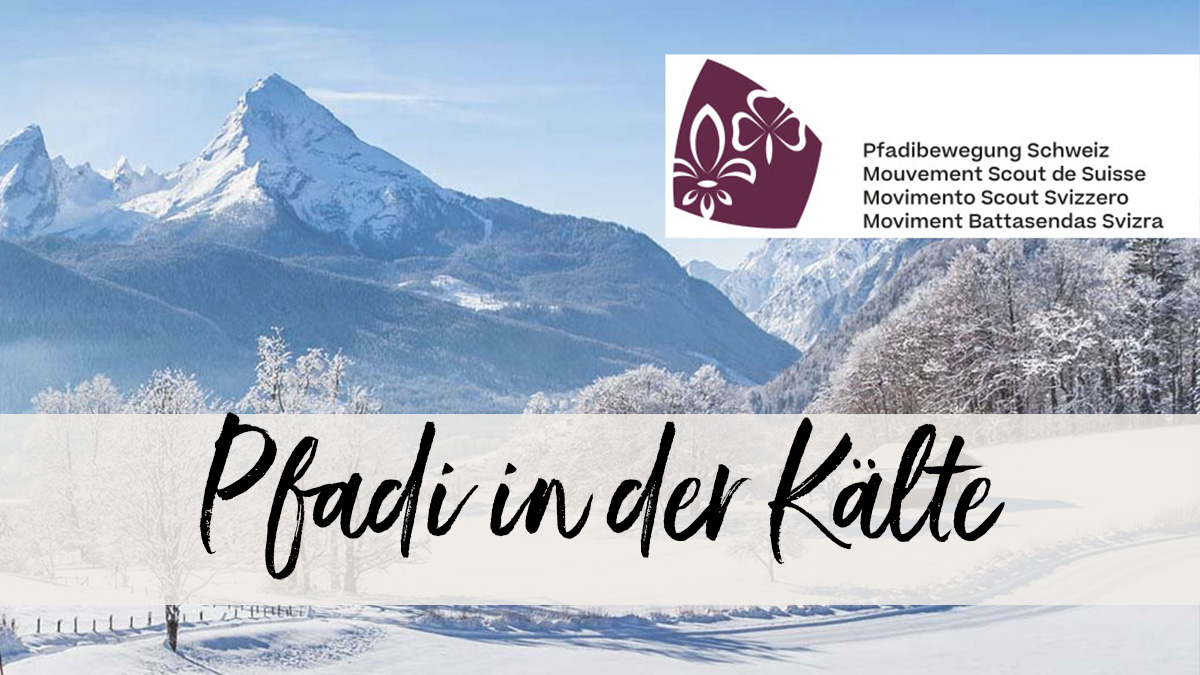 Aufnahme einer Winterlandschaft mit Bergen im Hintergrund und einem von Schnee bedeckten Feld mit Bäumen. 