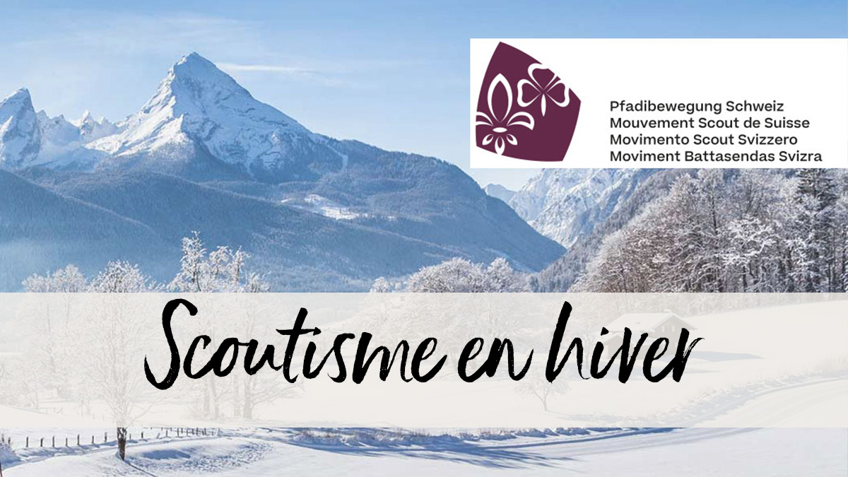 Paysage hivernal avec des montagnes en arrière-plan et un champ enneigé bordé d'arbres.