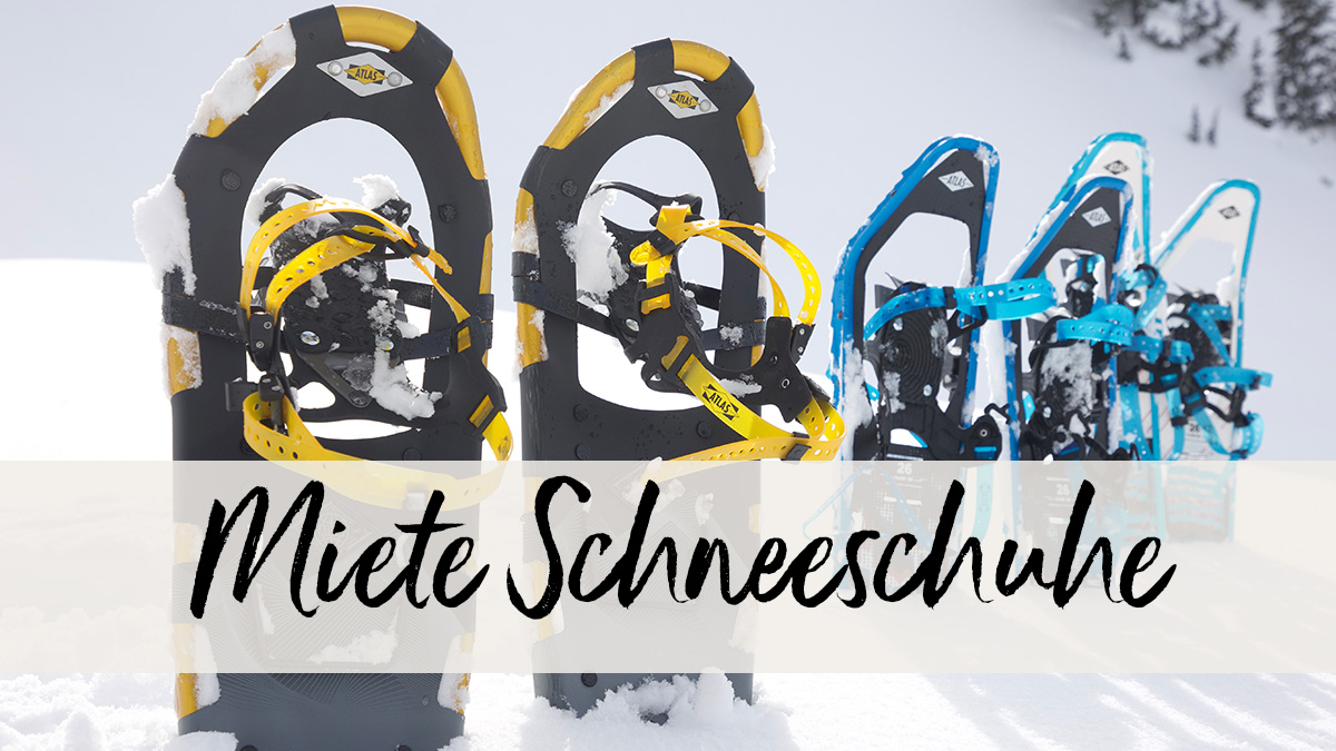 Schneeschuhe in einer Reihe im Schnee steckend.