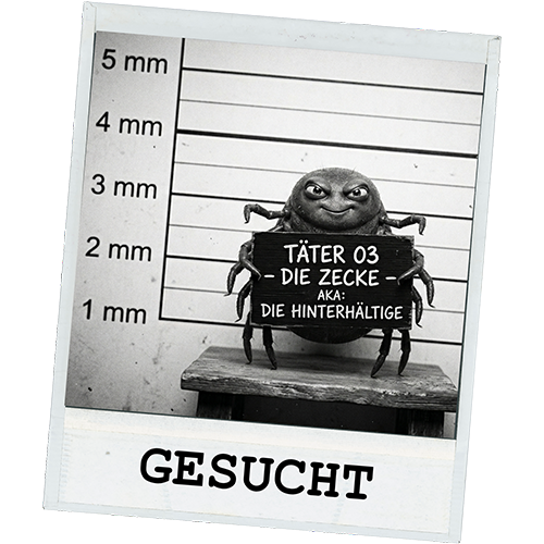 Fahndungsplakat in Form eines Comic-Mugshot einer Zecke.
